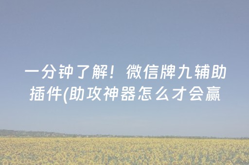 一分钟了解！微信牌九辅助插件(助攻神器怎么才会赢)