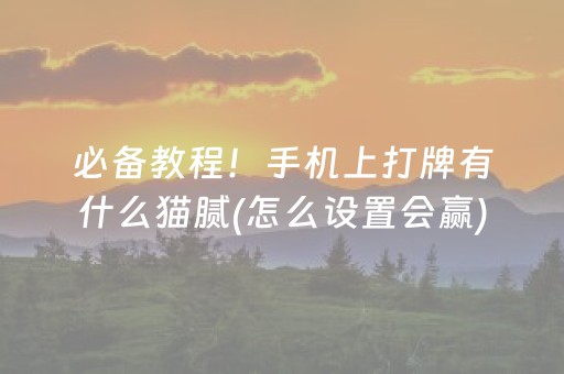 必备教程！手机上打牌有什么猫腻(怎么设置会赢)