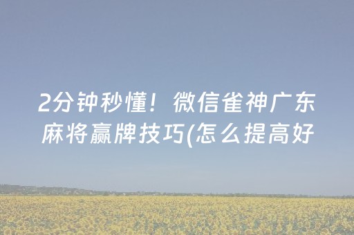 2分钟秒懂！微信雀神广东麻将赢牌技巧(怎么提高好牌几率)