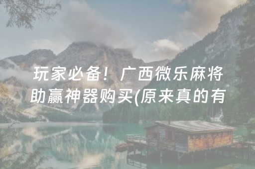 玩家必备！广西微乐麻将助赢神器购买(原来真的有挂)