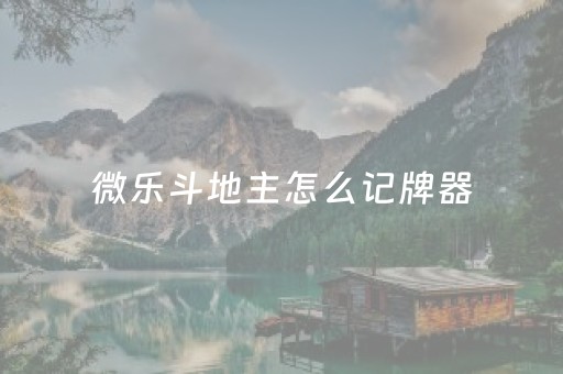 微乐斗地主怎么记牌器（小程序微乐斗地主记牌器）