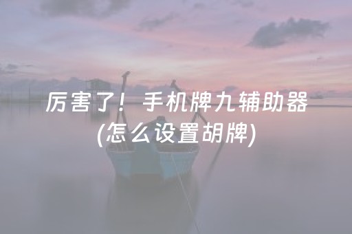厉害了！手机牌九辅助器(怎么设置胡牌)