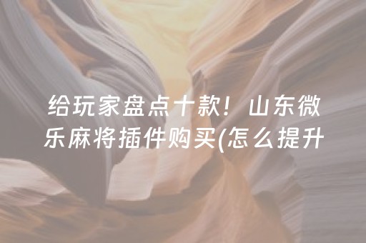 给玩家盘点十款！山东微乐麻将插件购买(怎么提升胜率)