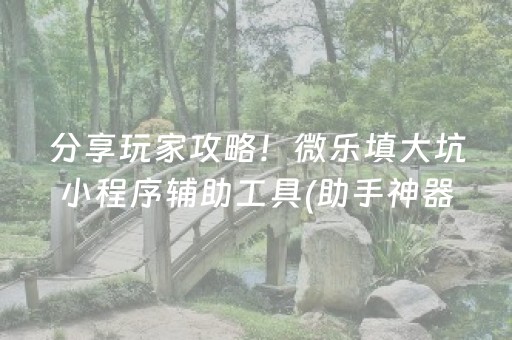 分享玩家攻略！微乐填大坑小程序辅助工具(助手神器外辅工具)