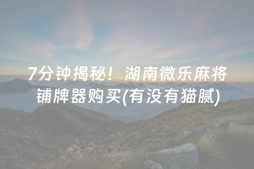 7分钟揭秘！湖南微乐麻将铺牌器购买(有没有猫腻)