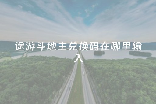 途游斗地主兑换码在哪里输入（途游斗地主可以兑现吗）