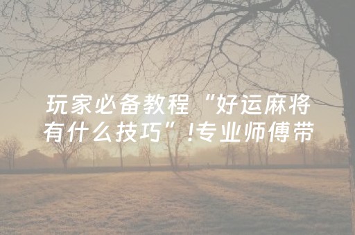 玩家必备教程“好运麻将有什么技巧”!专业师傅带你一起了解（详细教程）-知乎