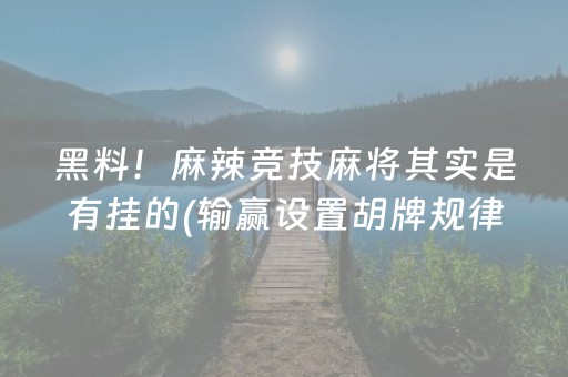 黑料！麻辣竞技麻将其实是有挂的(输赢设置胡牌规律)