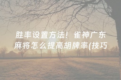 胜率设置方法！雀神广东麻将怎么提高胡牌率(技巧攻略怎样拿好牌)