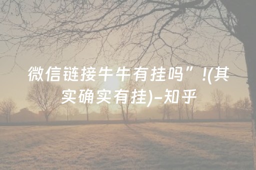 微信链接牛牛有挂吗”!(其实确实有挂)-知乎