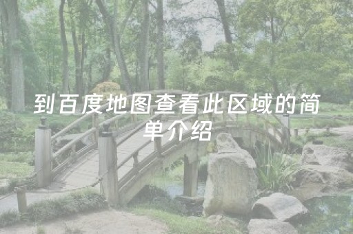 到百度地图查看此区域的简单介绍