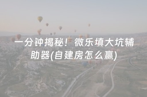 一分钟揭秘！微乐填大坑辅助器(自建房怎么赢)
