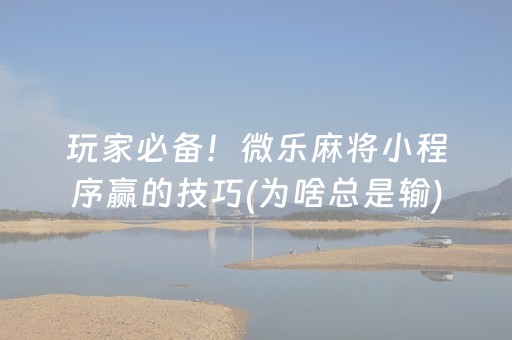 玩家必备！微乐麻将小程序赢的技巧(为啥总是输)