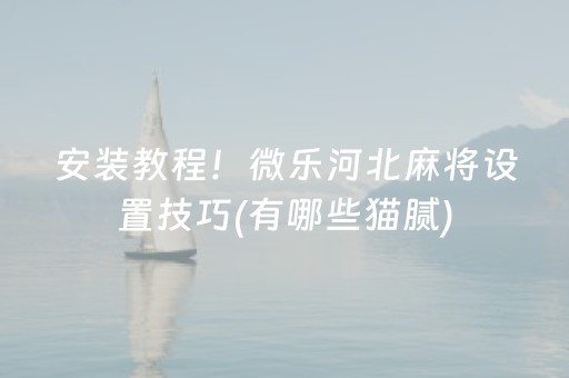 安装教程！微乐河北麻将设置技巧(有哪些猫腻)