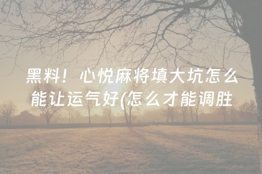 黑料！心悦麻将填大坑怎么能让运气好(怎么才能调胜率)