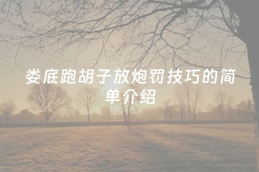 娄底跑胡子放炮罚技巧的简单介绍（娄底跑胡子计算公式）