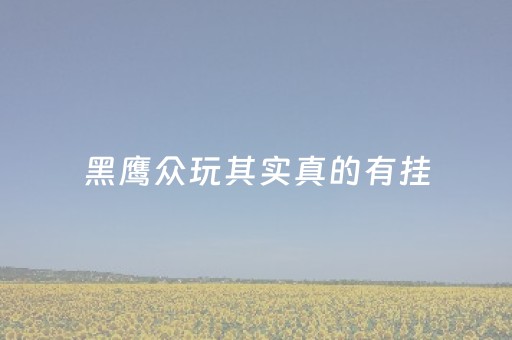 黑鹰众玩其实真的有挂（黑鹰众玩有挂吗）