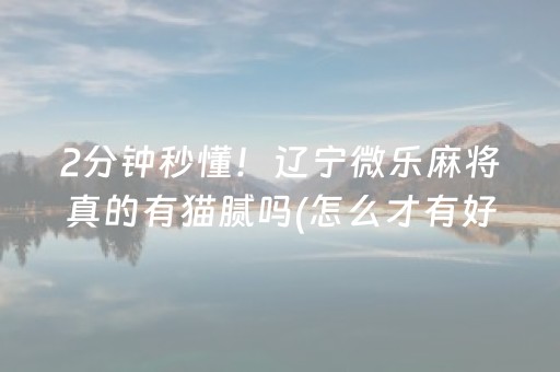 2分钟秒懂！辽宁微乐麻将真的有猫腻吗(怎么才有好牌)