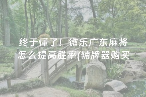 终于懂了！微乐广东麻将怎么提高胜率(辅牌器购买)
