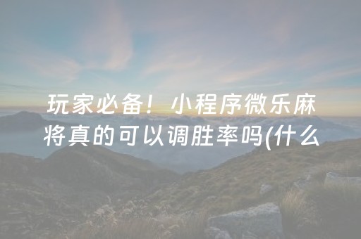 玩家必备！小程序微乐麻将真的可以调胜率吗(什么软件可以赢)