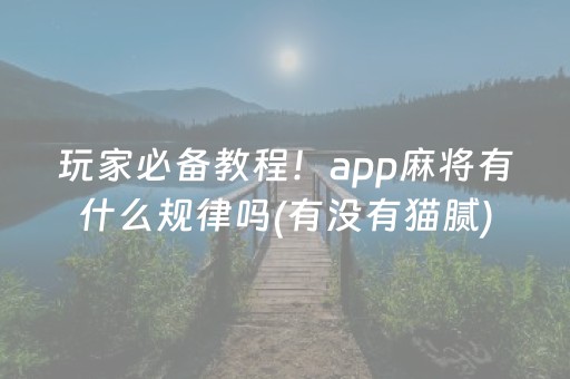 玩家必备教程！app麻将有什么规律吗(有没有猫腻)