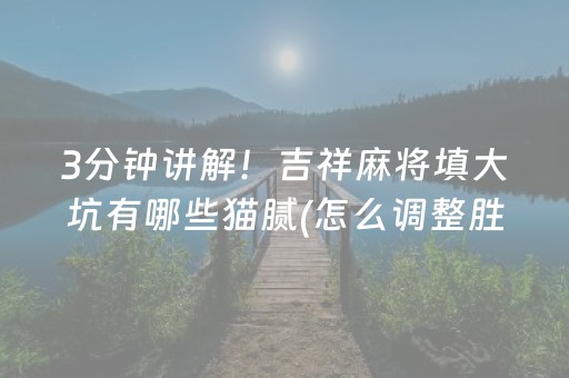 3分钟讲解！吉祥麻将填大坑有哪些猫腻(怎么调整胜率)