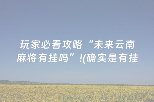 玩家必看攻略“未来云南麻将有挂吗”!(确实是有挂)-知乎