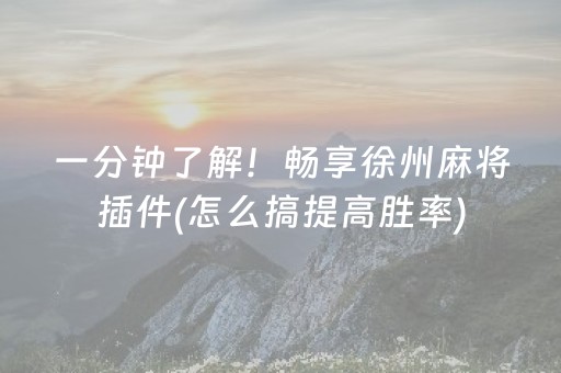 一分钟了解！畅享徐州麻将插件(怎么搞提高胜率)