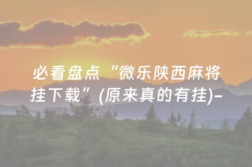 必看盘点“微乐陕西麻将挂下载”(原来真的有挂)-知乎