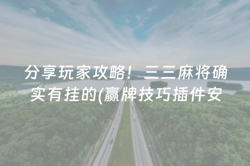 分享玩家攻略！三三麻将确实有挂的(赢牌技巧插件安装)