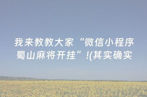 我来教教大家“微信小程序蜀山麻将开挂”!(其实确实有挂)-知乎