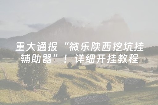 重大通报“微乐陕西挖坑挂辅助器”！详细开挂教程（确实真的有挂)-知乎
