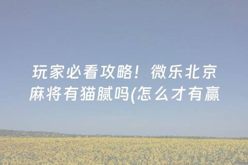玩家必看攻略！微乐北京麻将有猫腻吗(怎么才有赢的几率)
