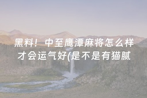 黑料！中至鹰潭麻将怎么样才会运气好(是不是有猫腻)