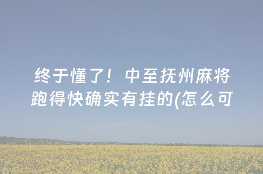 终于懂了！中至抚州麻将跑得快确实有挂的(怎么可以赢)