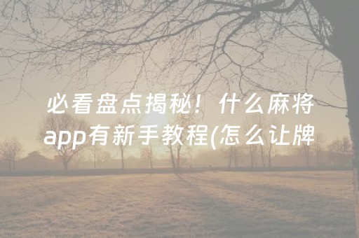 必看盘点揭秘！什么麻将app有新手教程(怎么让牌变好)