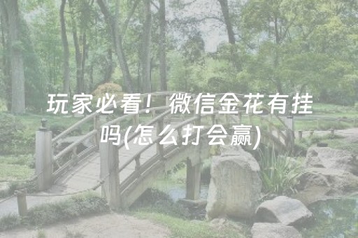 玩家必看！微信金花有挂吗(怎么打会赢)