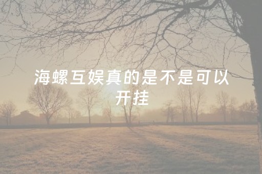 海螺互娱真的是不是可以开挂（海螺是干什么的）