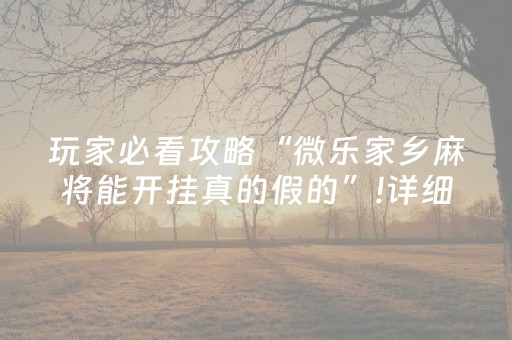 玩家必看攻略“微乐家乡麻将能开挂真的假的”!详细开挂教程-知乎