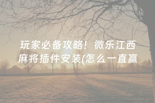 玩家必备攻略！微乐江西麻将插件安装(怎么一直赢)