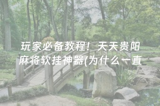 玩家必备教程！天天贵阳麻将软挂神器(为什么一直输)