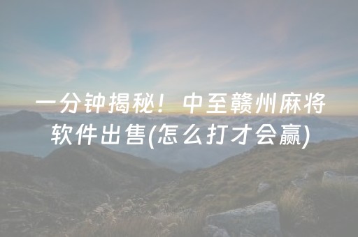 一分钟揭秘！中至赣州麻将软件出售(怎么打才会赢)