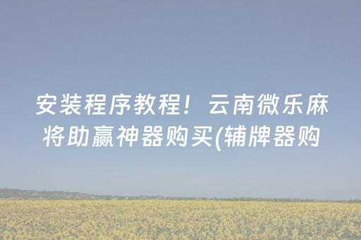 安装程序教程！云南微乐麻将助赢神器购买(辅牌器购买)