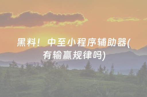 黑料！中至小程序辅助器(有输赢规律吗)