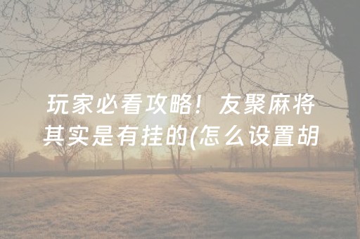 玩家必看攻略！友聚麻将其实是有挂的(怎么设置胡牌)