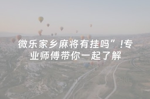 微乐家乡麻将有挂吗”!专业师傅带你一起了解（详细教程）-知乎
