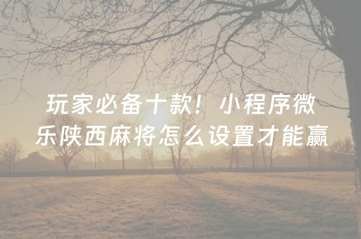 玩家必备十款！小程序微乐陕西麻将怎么设置才能赢(神器购买好牌规律)