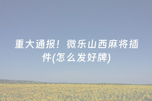 重大通报！微乐山西麻将插件(怎么发好牌)