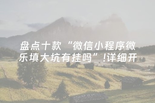 盘点十款“微信小程序微乐填大坑有挂吗”!详细开挂教程-知乎