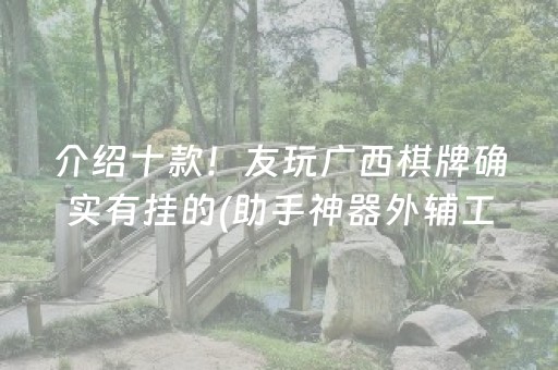 介绍十款！友玩广西棋牌确实有挂的(助手神器外辅工具)